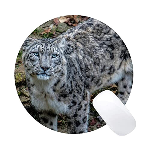 Tapis de souris Léopard 200x200 mm