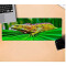 Tapis de souris Lézard other 800x300 mm - miniature