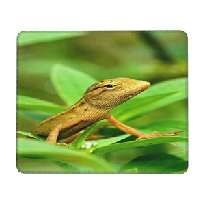 Tapis de souris Lézard animal 20.1x24.1 cm