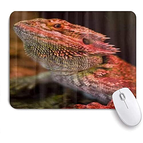 Tapis de souris Lézard mousepad- 25x20 cm