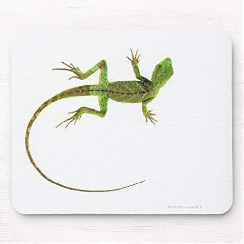 Tapis de souris Lézard