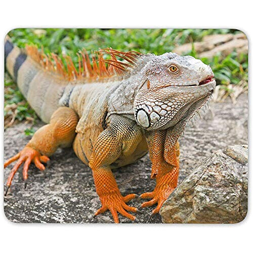 Tapis de souris Lézard mousepad- 25x20 cm