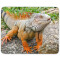 Tapis de souris Lézard mousepad- 25x20 cm - miniature