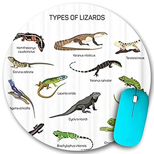 Tapis de souris Lézard 200x200 mm