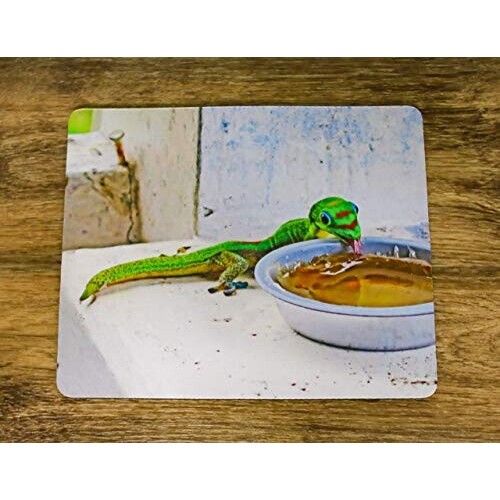 Tapis de souris Lézard 22x18 cm