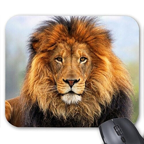 Tapis de souris Lion