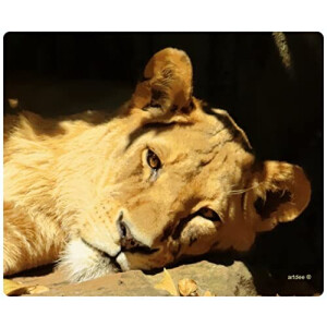 Tapis de souris Lion beige 18x22 cm