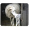 Tapis de souris Mouton mousepad- 25x20 cm - miniature variant 1