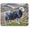 Tapis de souris Mouton mousepad- 25x20 cm - miniature variant 1