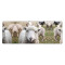 Tapis de souris Mouton noir 80 x 30 80x30 cm - miniature