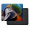 Tapis de souris Perroquet - Oiseau - 22x18 cm - miniature variant 1