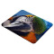Tapis de souris Perroquet - Oiseau - 22x18 cm - miniature variant 2