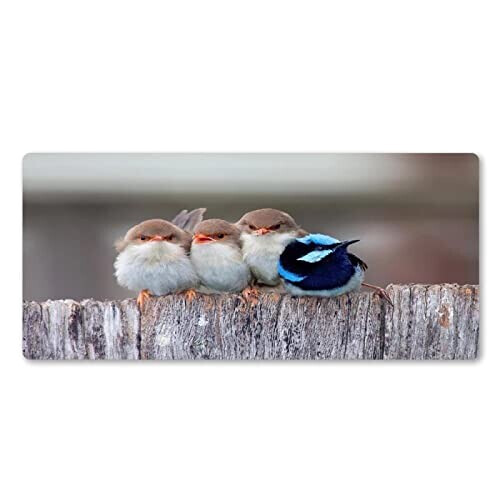 Tapis de souris Oiseau couleurful XXL 900x400 mm