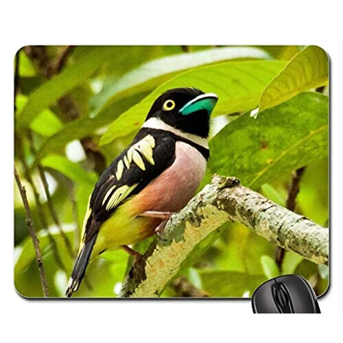 Tapis de souris Oiseau