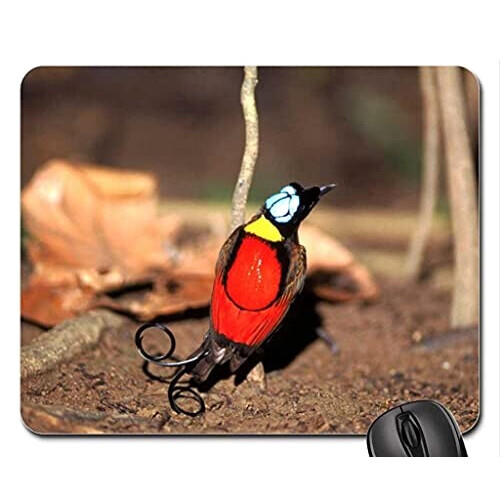 Tapis de souris Oiseau