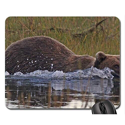 Tapis de souris Ours
