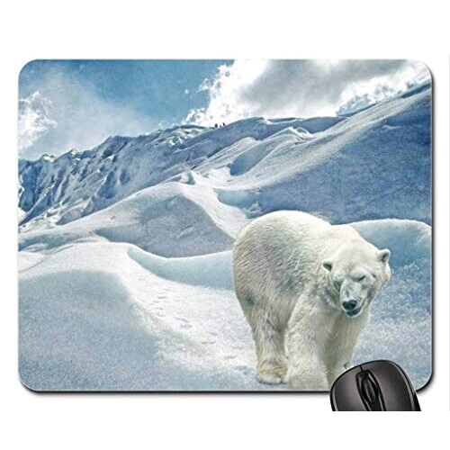 Tapis de souris Ours
