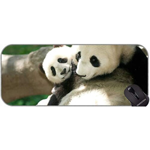 Tapis de souris Panda yt. XXL 750x300 mm