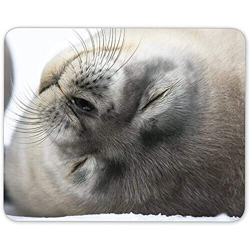 Tapis de souris Phoque mousepad- 25x20 cm