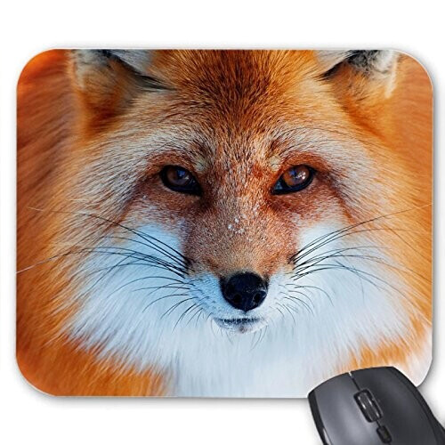 Tapis de souris Renard