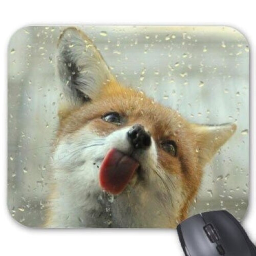 Tapis de souris Renard