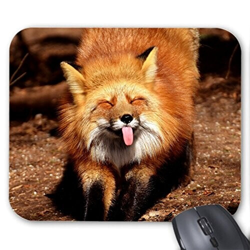 Tapis de souris Renard