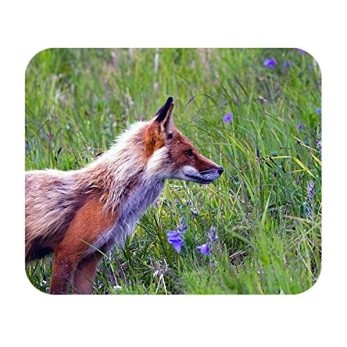 Tapis de souris Renard 200x240 mm variant 0 