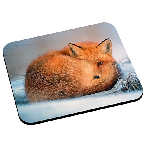 Tapis de souris Renard roux 200x240 mm
