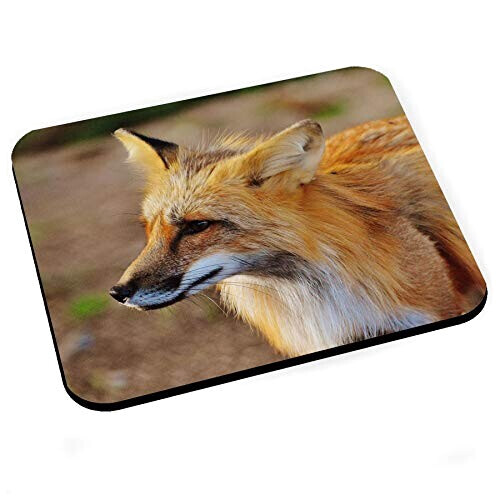 Tapis de souris Renard 200x240 mm