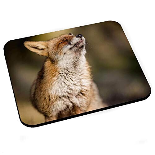 Tapis de souris Renard 200x240 mm