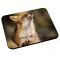 Tapis de souris Renard 200x240 mm - miniature