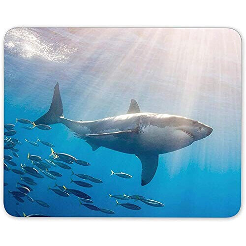 Tapis de souris Requin blanc