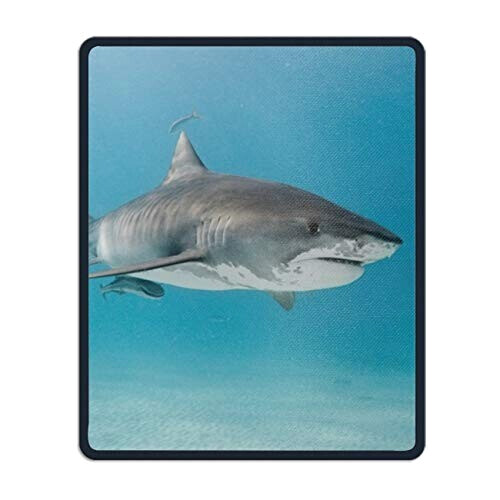 Tapis de souris Requin