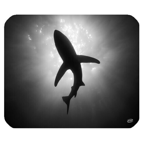 Tapis de souris Requin