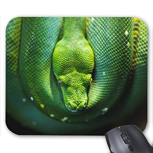 Tapis de souris Serpent