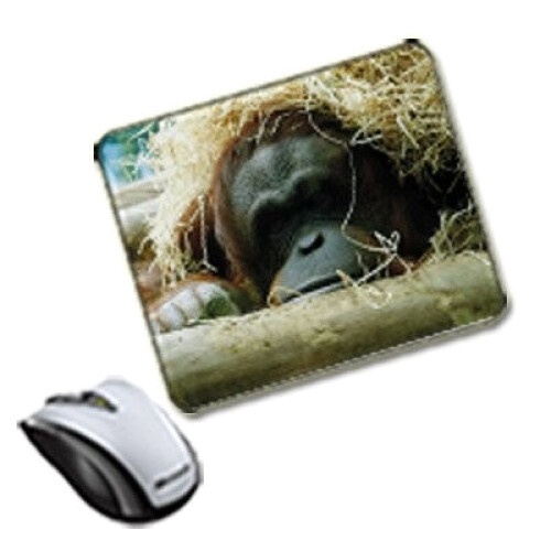 Tapis de souris Singe