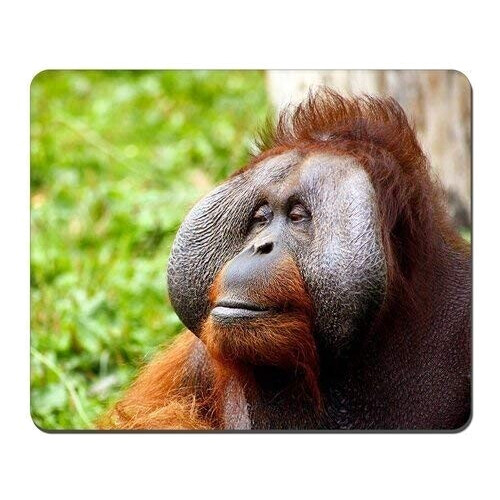Tapis de souris Singe