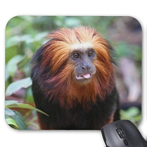 Tapis de souris Singe doré