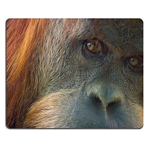 Tapis de souris Singe