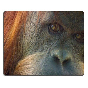 Tapis de souris Singe