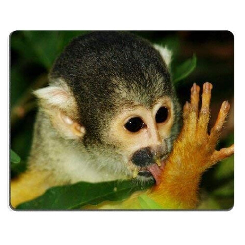 Tapis de souris Singe