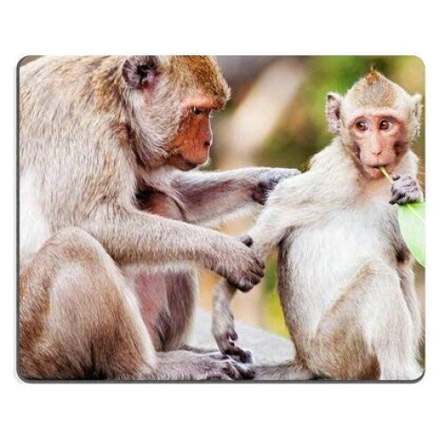 Tapis de souris Singe
