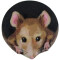Tapis de souris - miniature