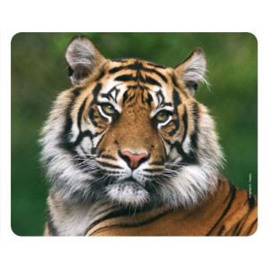 Tapis de souris Tigre 24x19 cm