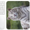 Tapis de souris Tigre blanc 235x195 mm - miniature variant 4