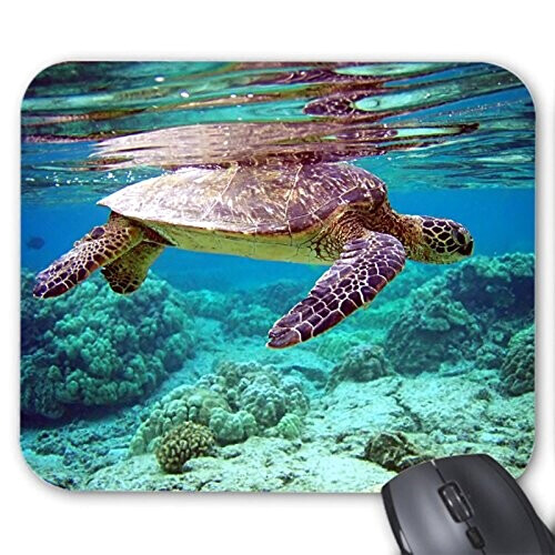 Tapis de souris Tortue