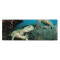 Tapis de souris Tortue noir 80 cm x 30 80x30 cm - miniature