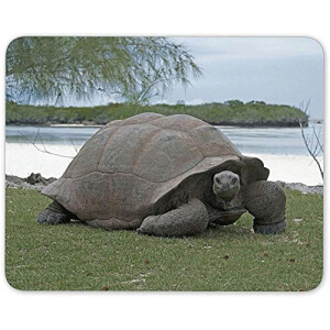 Tapis de souris Tortue mousepad- 25x20 cm