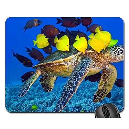 Tapis de souris Tortue
