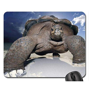 Tapis de souris Tortue